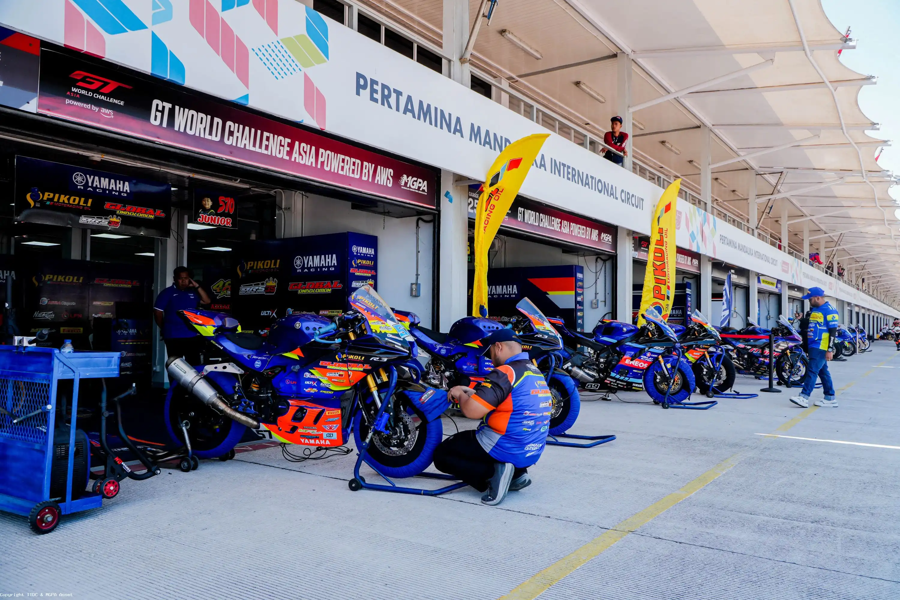 paddock