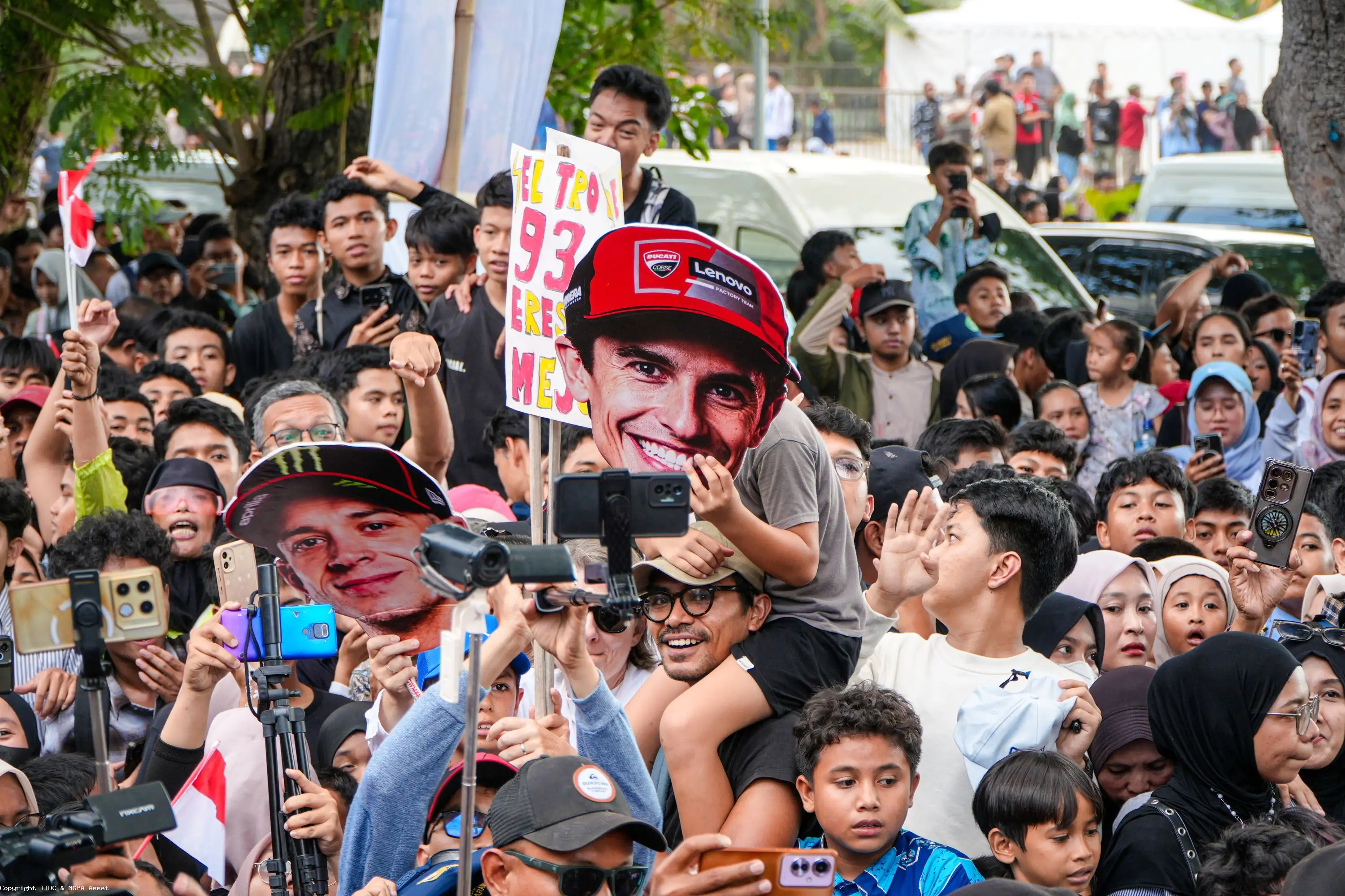 Fans